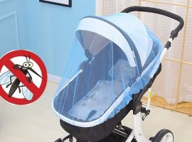 Bebek Arabası Sinekliği, Puset Sinekliği